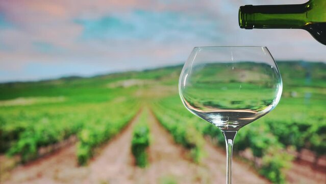 4 k Pouring red wine Into Glass with wineyard at the sunset background