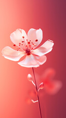 Soft focus of a flower on a red background in the style of bokeh panorama