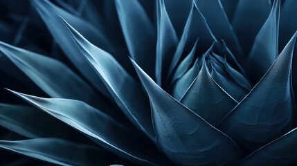 Dark blue toned background with an abstract natural pattern and an agave plant.