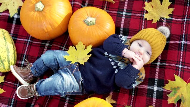 Cute small baby boy laying on a plaid blanket near small colourful pumpkins on sunny autumn day. Family time at Thanksgiving. Festive season in October.