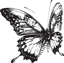 black butterfly silhouette icon, isolated on white background