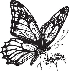 black butterfly silhouette icon, isolated on white background
