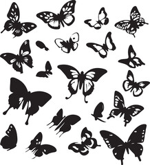 Collection of vintage elegant vector illustrations of butterflies