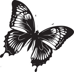 black butterfly silhouette icon, isolated on white background