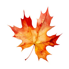 Fototapeta premium autumn leave