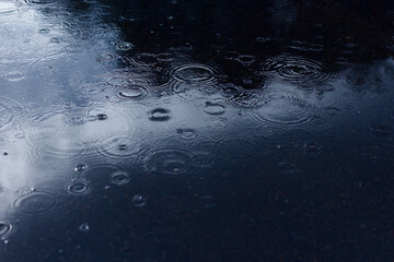 Raindrop circles in a puddle on the pavement, selective focus.