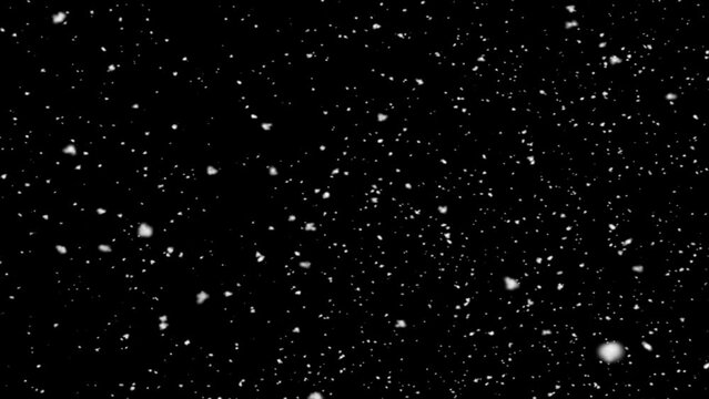 Snow season land on the ground tea tea black background.