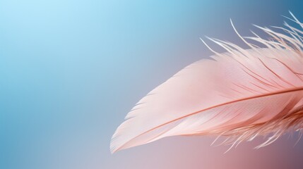 Fototapeta na wymiar pink feather on blue background generated by AI