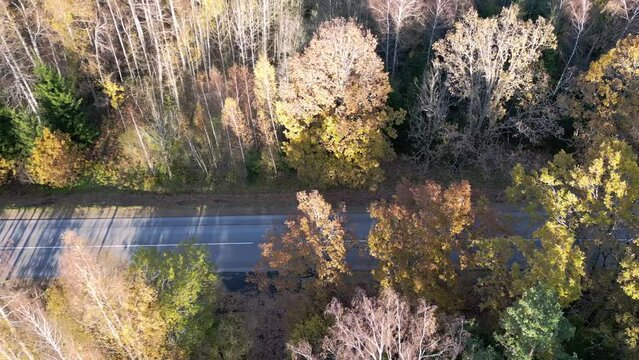 drone footage on the highway between colorful autumn trees