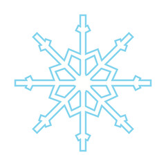 Snowflake Icon Vector