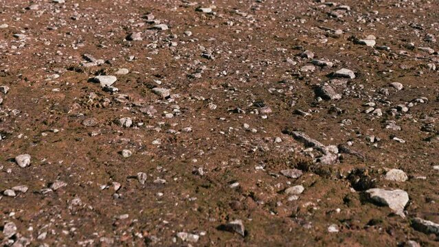 Desert floor with stones, Surface of outdoor area with copy space. Footage in Ultra HD 4k.