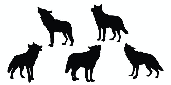 Set of wolf silhouettes. Wolf icons set. Vector illustration