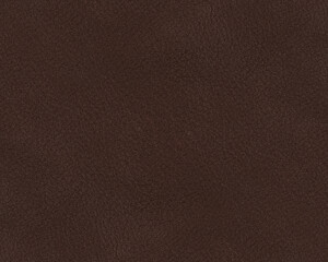 Seamless texture of full grain dark brown premium leather