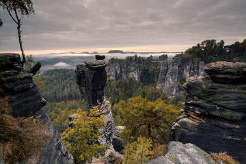 Wehlnadel im Herbst