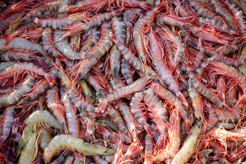 Stacked fresh tiger prawns are also known as bagda prawns in Asia. Close up view of red tiger shrimps in bamboo basket.