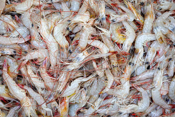 Close-up view of fresh red tail shrimp piled in a bamboo basket.