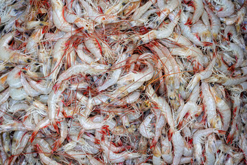 Close-up view of fresh red tail shrimp piled in a bamboo basket.
