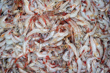 Close-up view of fresh red tail shrimp piled in a bamboo basket.