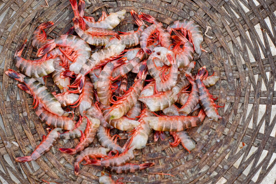 Close-up view of fresh red Tiger shrimp or Bagda Chingri piled in a bamboo basket.