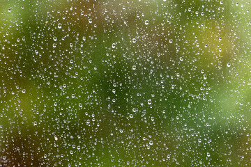 Looking through a window with rain drops on the outside and a shallow depth of field