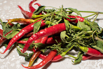Close up view of a red peppers 