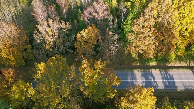 drone footage on the highway with passing cars between colorful autumn trees