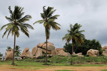 Hampi, Karnataka India - July 24 2023: Palm Trees and Boulder rocks scattering landscape at Hampi