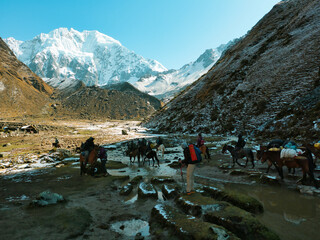 hikers in the mountains