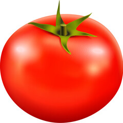 tomato isolated on white background