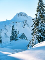 Winter scenes