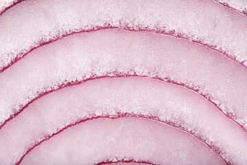 Blue onion rings on macro photograph.