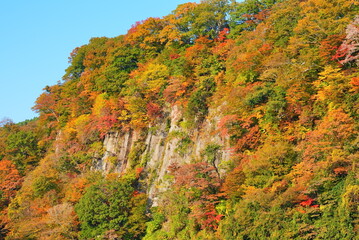 壮大な秋の紅葉が美しい九重の九酔渓 - obrazy, fototapety, plakaty