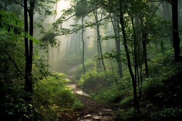 Misty early morning amidst lush woods. Generative AI
