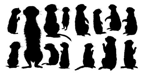 Lemuriformes  silhouettes