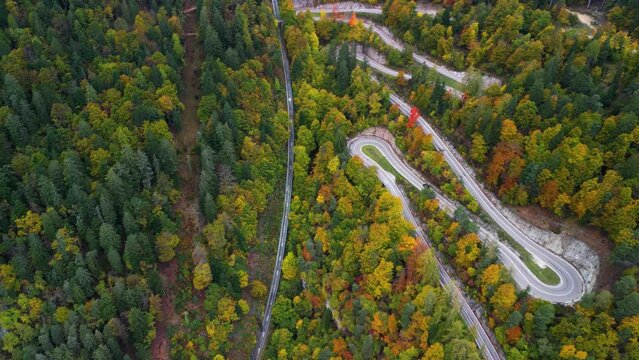 Forwards oriented flight over Mendel mountain pass road in fall with colorful trees