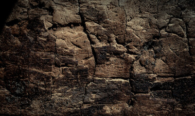 Natural tree bark, background, texture.