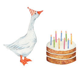 Watercolor white goose in party red hat with carrot cake. Cute festive farm bird and birthday cake. Hand drawn illustration on transparent.