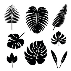 Set of palm and banana leaves silhouettes isolated on white background. Vector EPS10