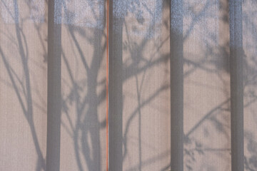 Tree leaves contour on brown curtain at sunset