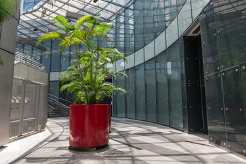 trees on red flower pot decorated outside modern glass building