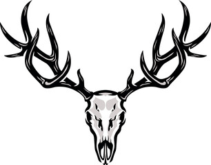 Aggressive Skull of Elk with big Antlers