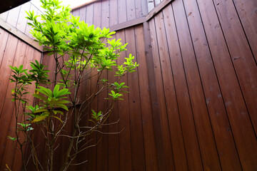 ウッドウォールの新しさを感じる趣のある和の中庭・庭園・縁側と若い樹木（東京都千代田区）