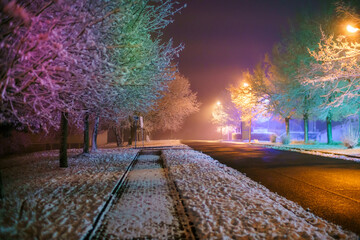 landscape of a night winter city colored with multi-colored illuminations
