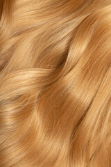 Obraz premium Blond hair close-up as a background. Women's long blonde hair. Beautifully styled wavy shiny curls. Hair coloring. Hairdressing procedures, extension.
