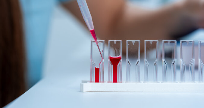 Elastic Light Scattering: Employ the cuvette to measure the scattering