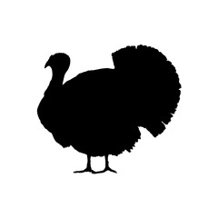 turkey silhouette - vector illustration