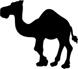 Camel silhouette vector