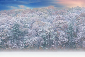 Foggy autumn landscape at dawn of the shoreline of Hall Lake flocked with snow, Yankee Springs State Park, Michigan, USA