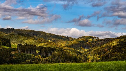 Vibrant landscape of a lush forest illuminated in bright colors