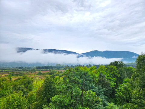 The mountain Igman in Bosnia and Herzegovina in evening of a rainy day